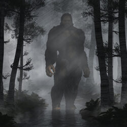 Big Foot in Dark Forest